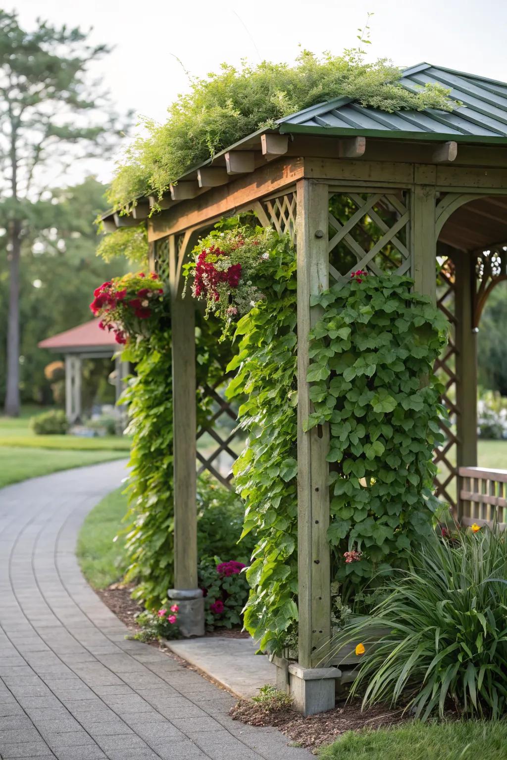 A vertical garden on a pergola adds lush greenery in limited space.
