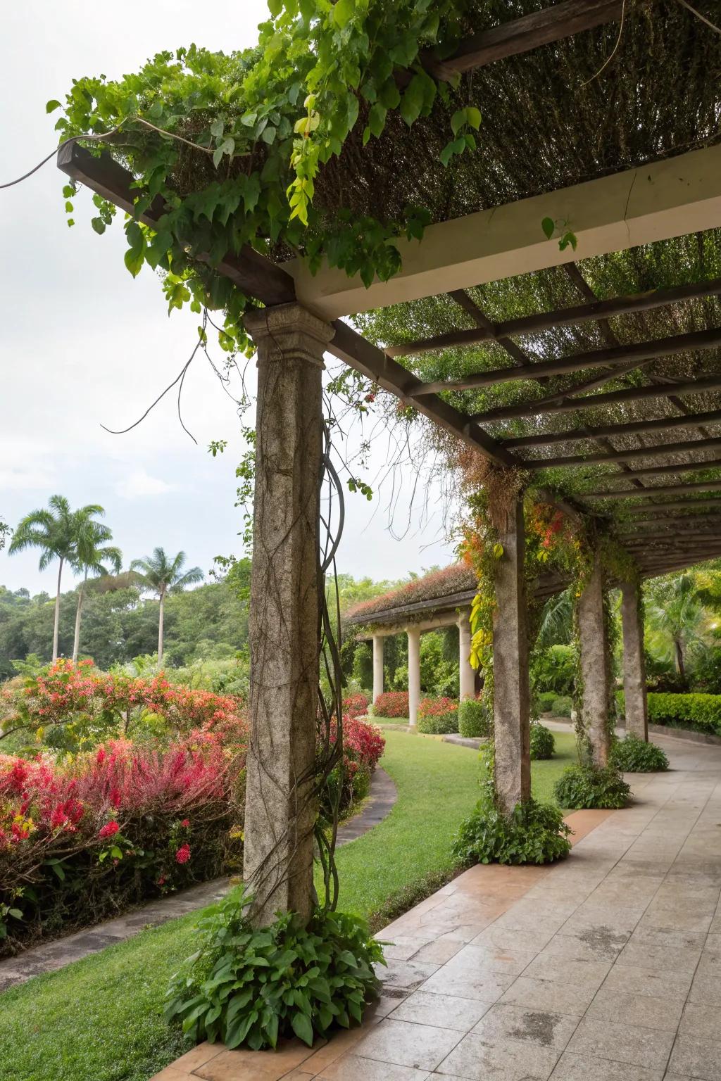 Shady spaces provide relief from the sun.