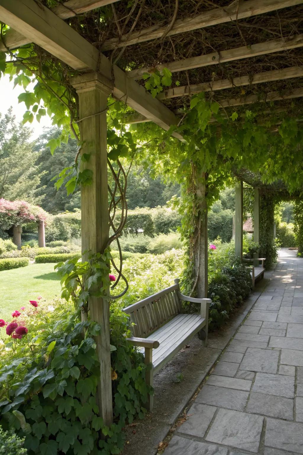 A pergola with climbing plants offers a shaded retreat.