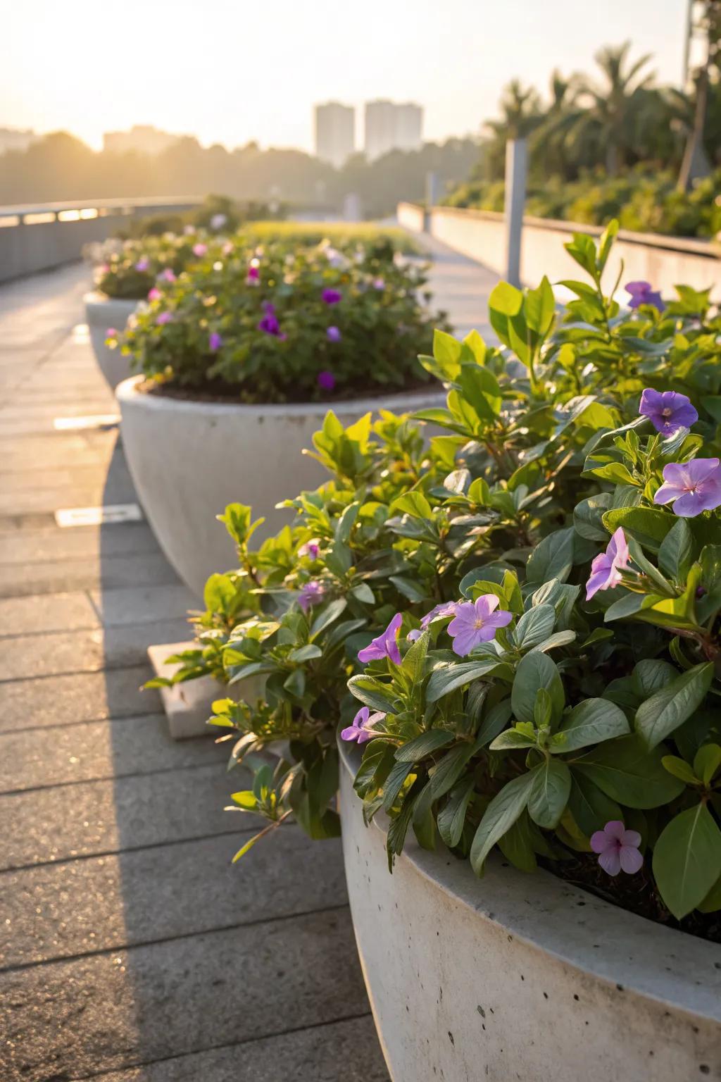 Soften spaces with sun-kissed edges.