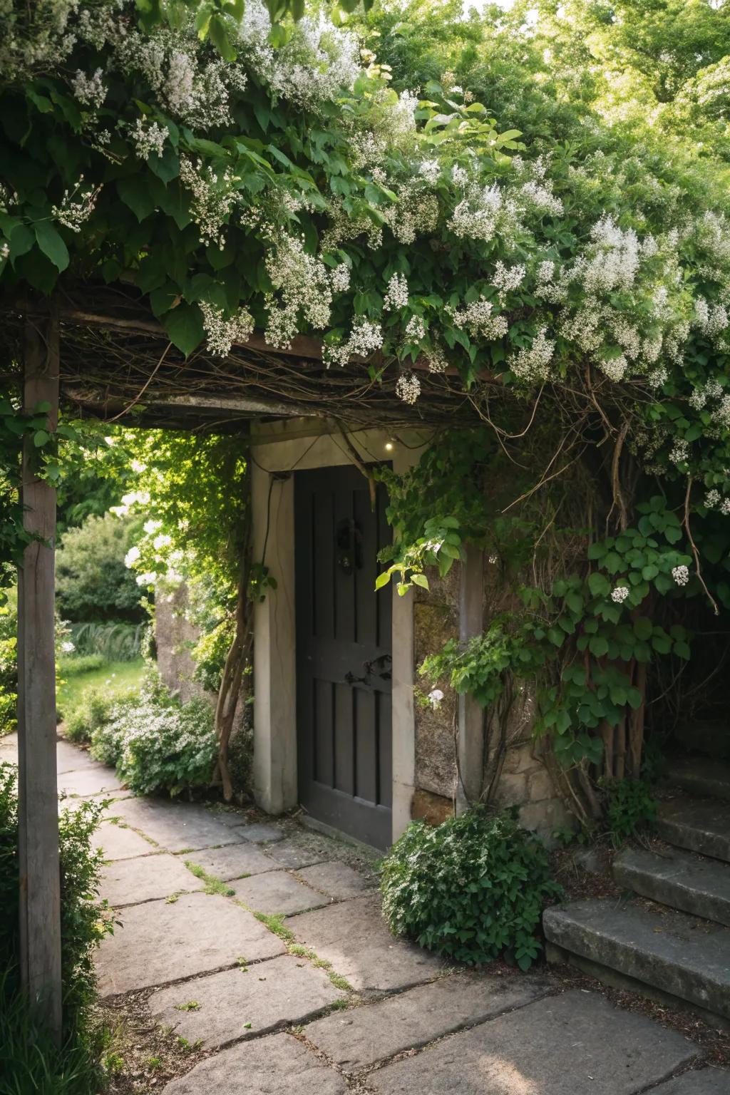An inviting pergola adds dimension and charm to the basement entrance.