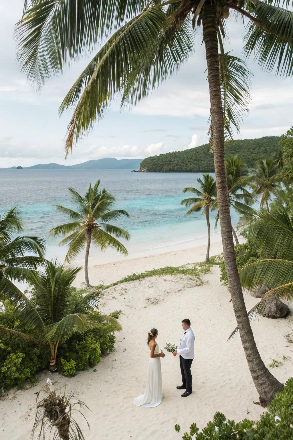A tropical paradise wedding with an exotic setting
