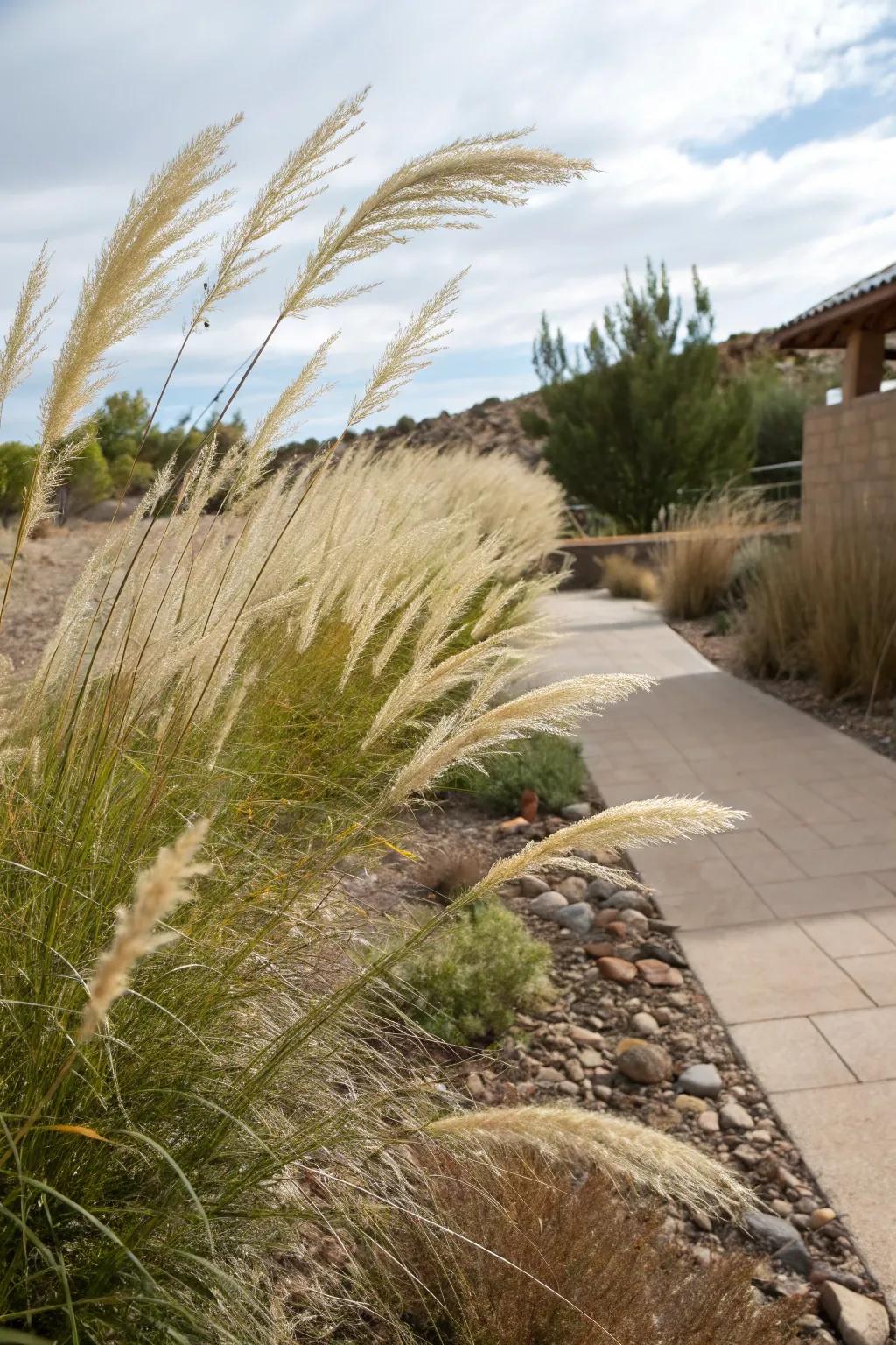 Ornamental grasses bring texture and movement.