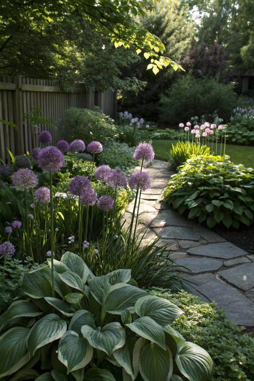 Lush shade garden with alliums and hostas