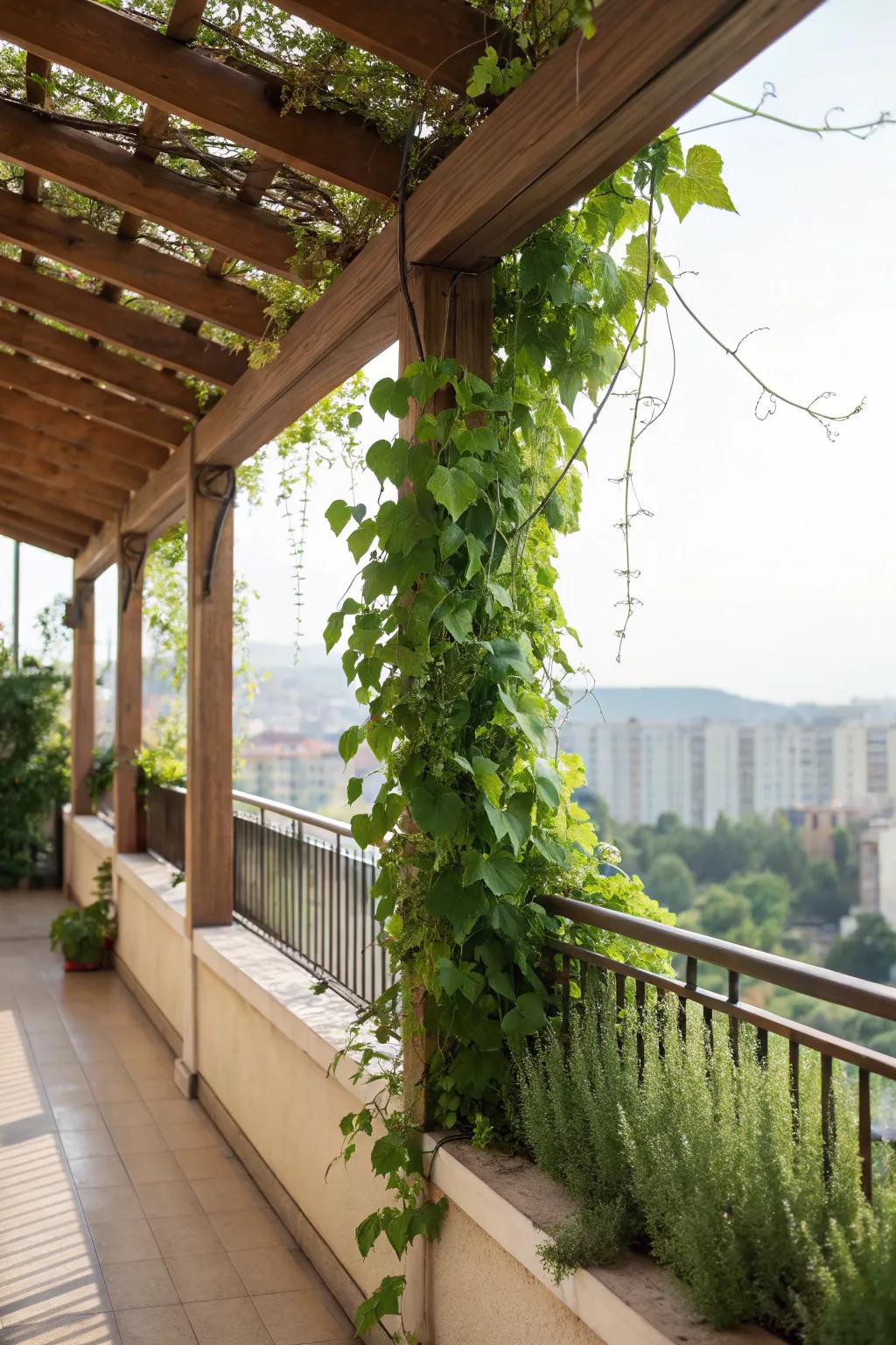 Cedar trellises add natural beauty and charm.
