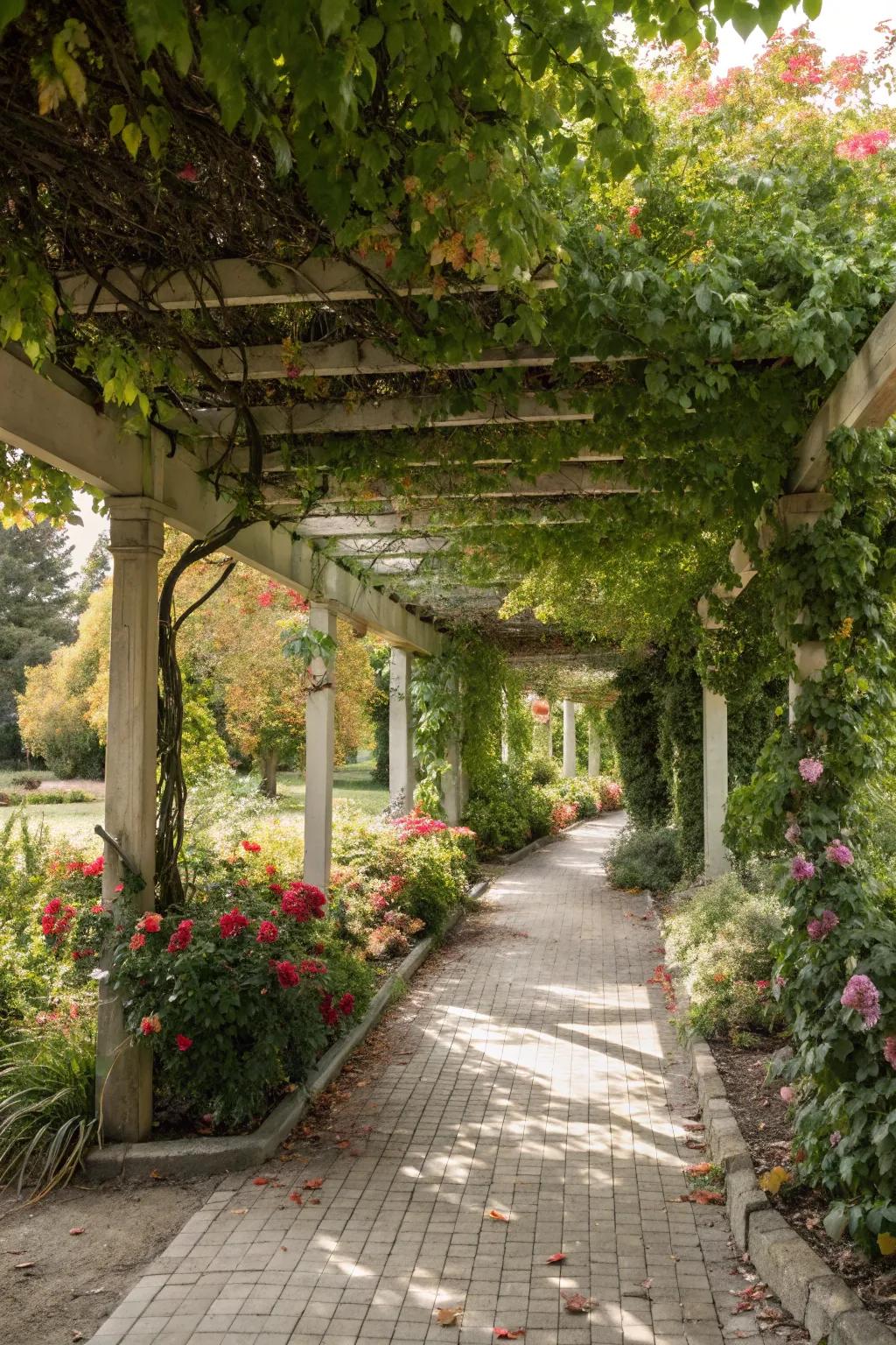 A pergola creates a sheltered space for birds and adds elegance to your garden.