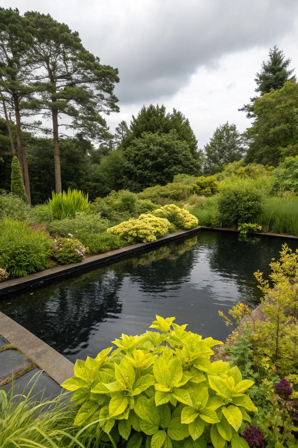 Natural plants provide a lush backdrop for this pool.