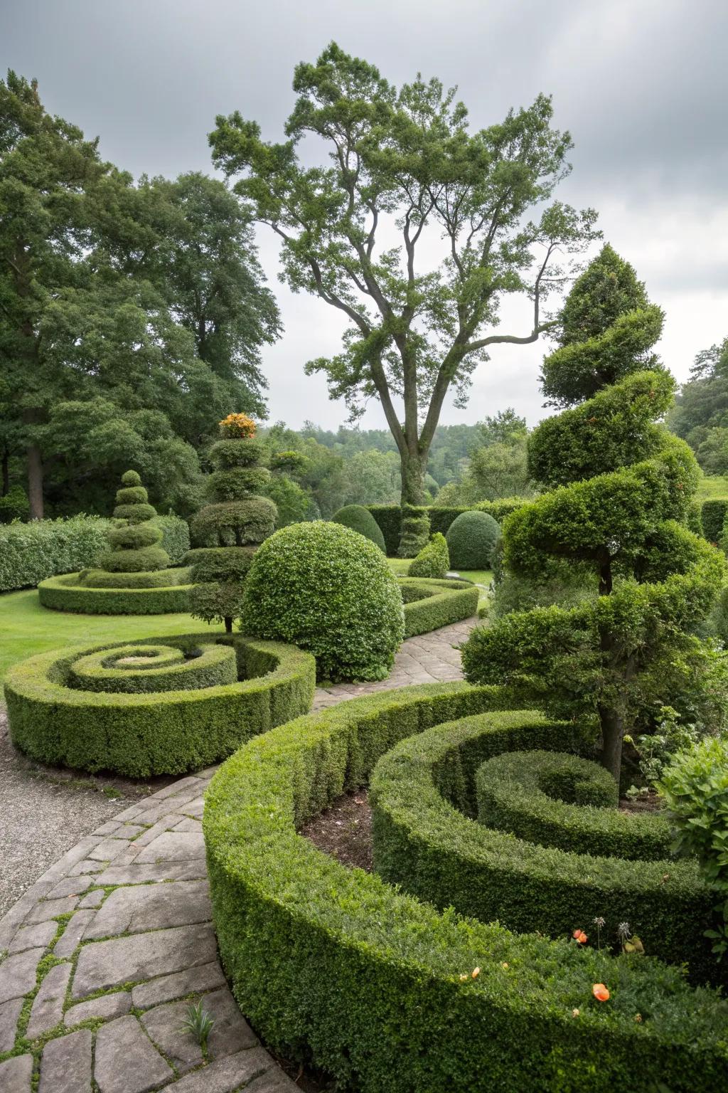 Whimsical spiral sculptures made from boxwoods.