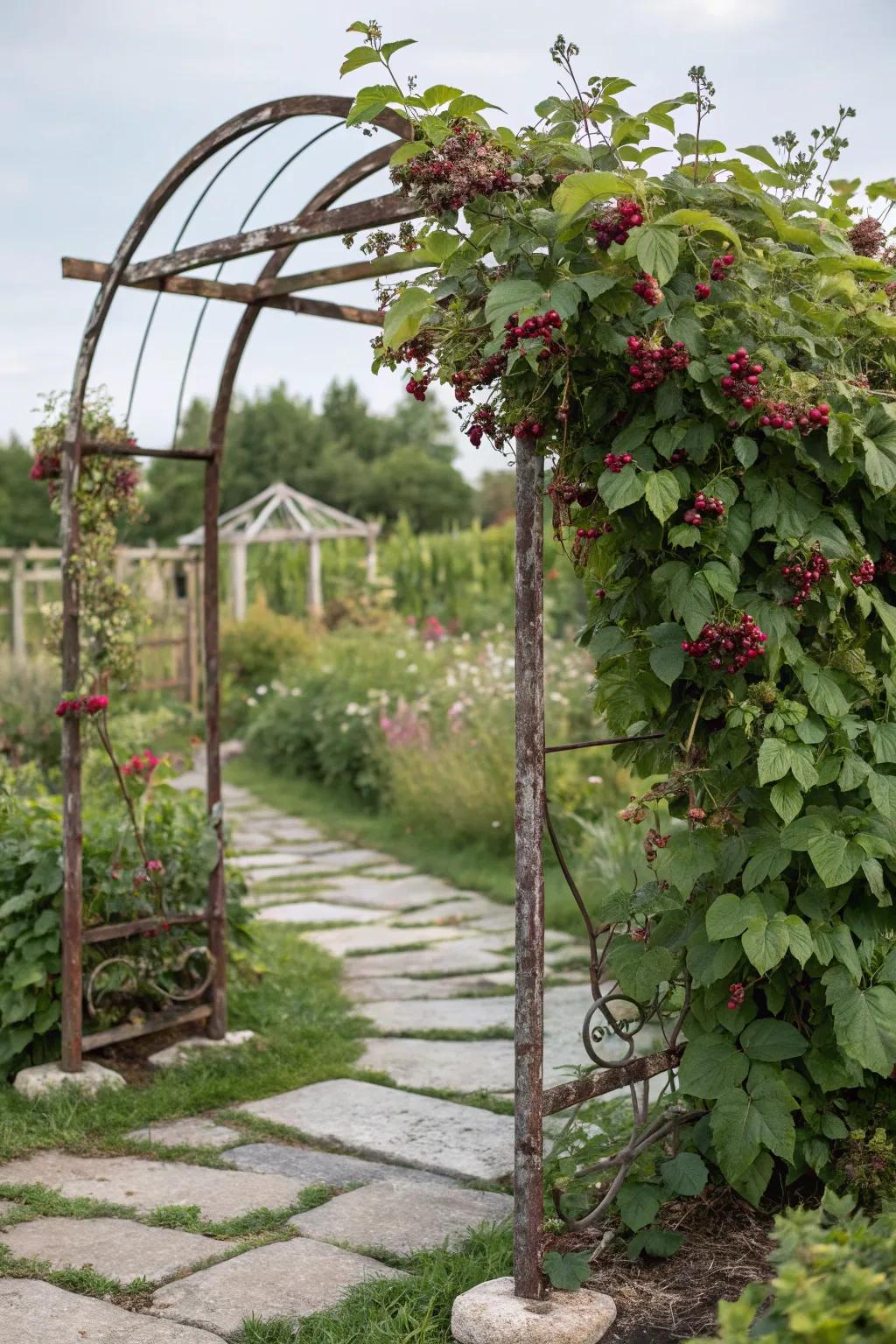 Rustic metal frames offer durability with charm.