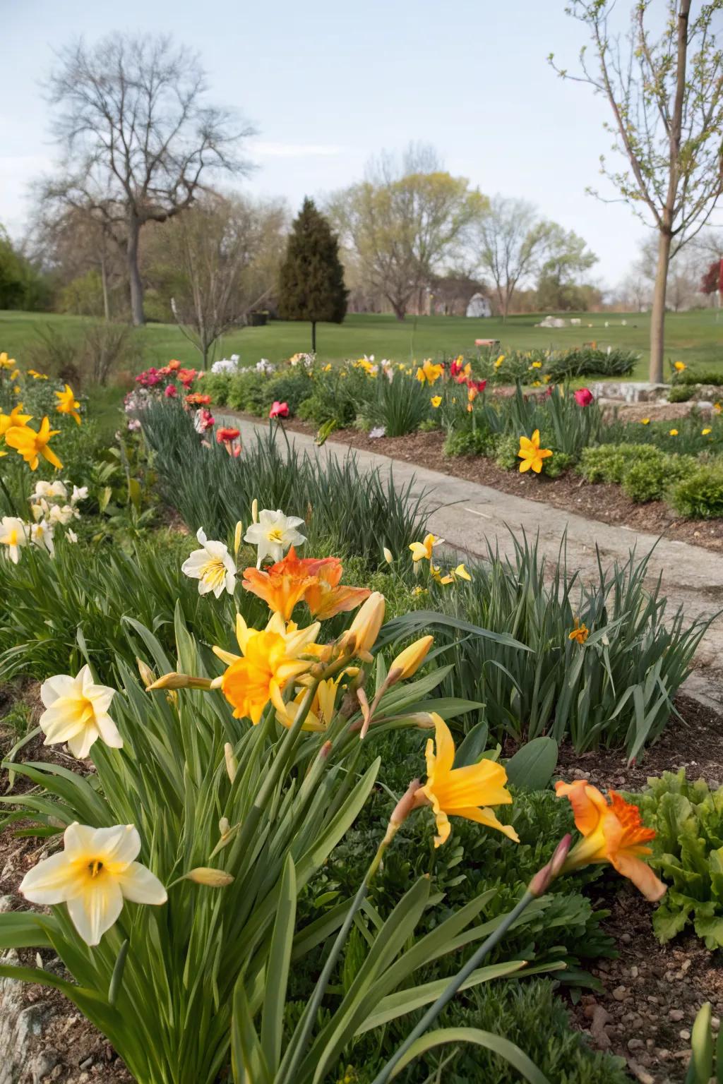 Seasonal blooms complementing daylilies for year-round interest.