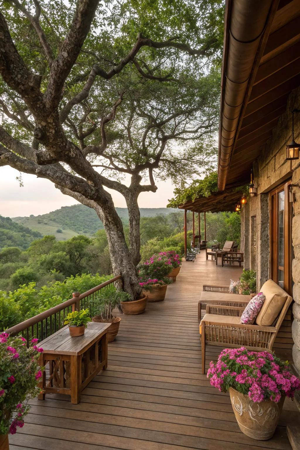 A warm tree branch deck that enhances its natural environment.