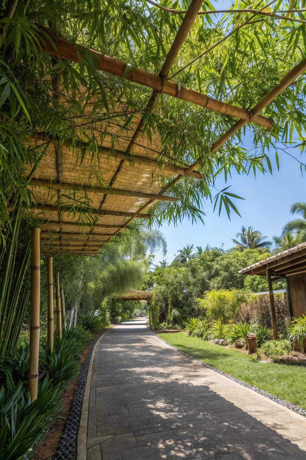 A bamboo canopy offering a peaceful, tropical atmosphere.