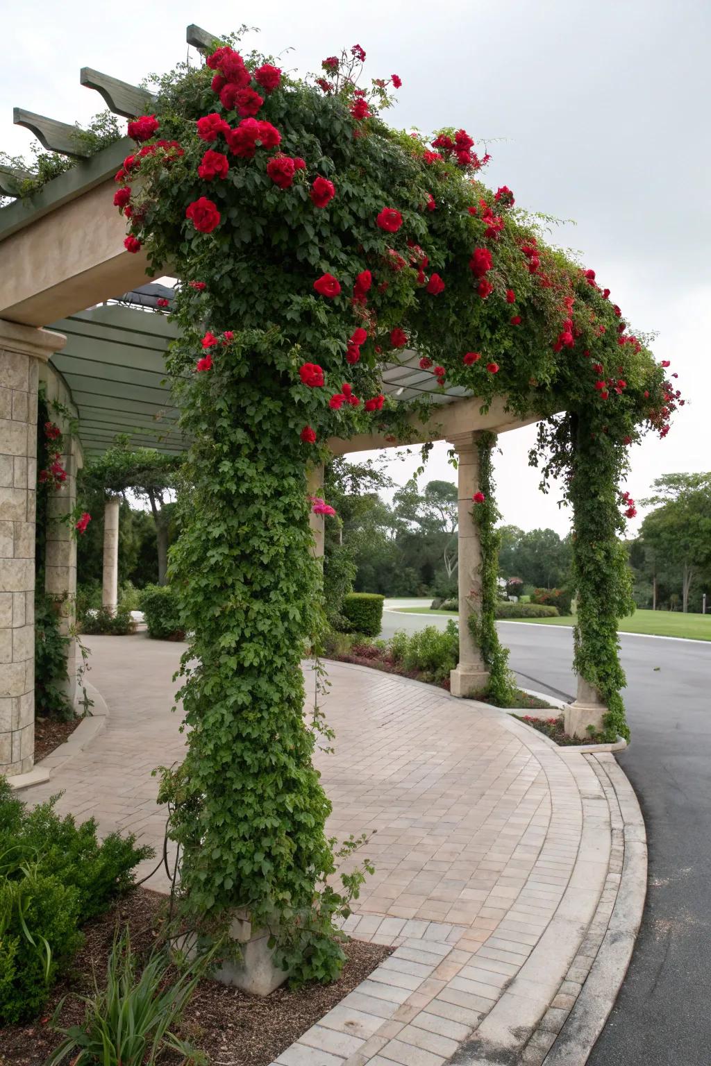 A pergola offers support for climbers and frames your driveway beautifully.