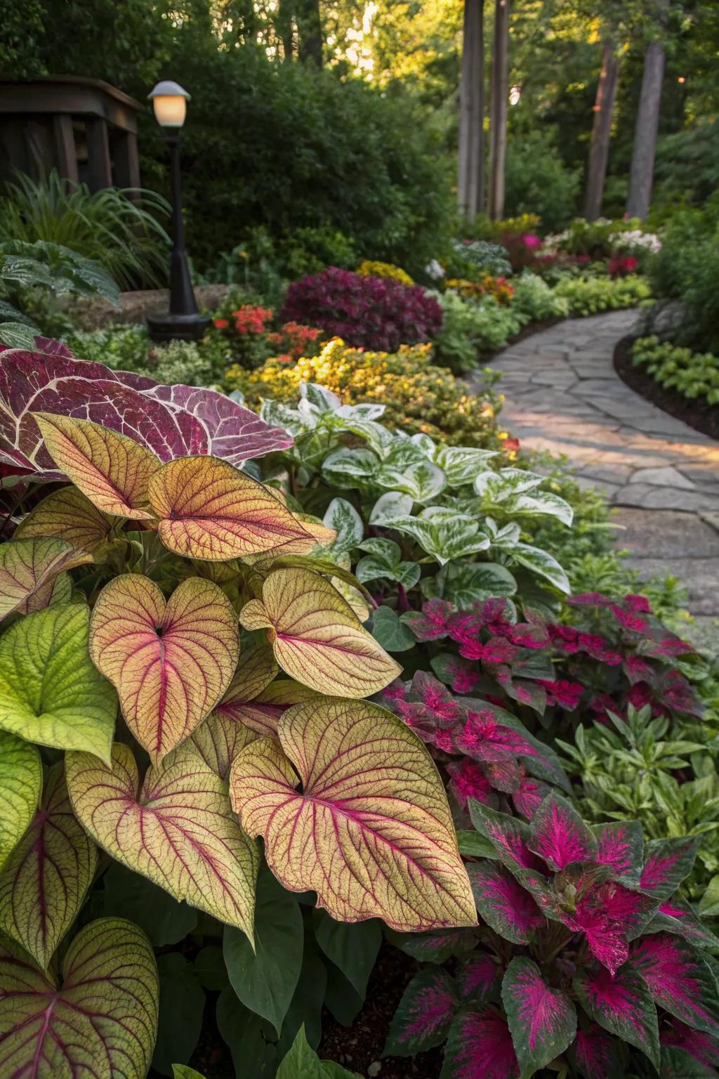 A garden showcasing colorful foliage for added interest