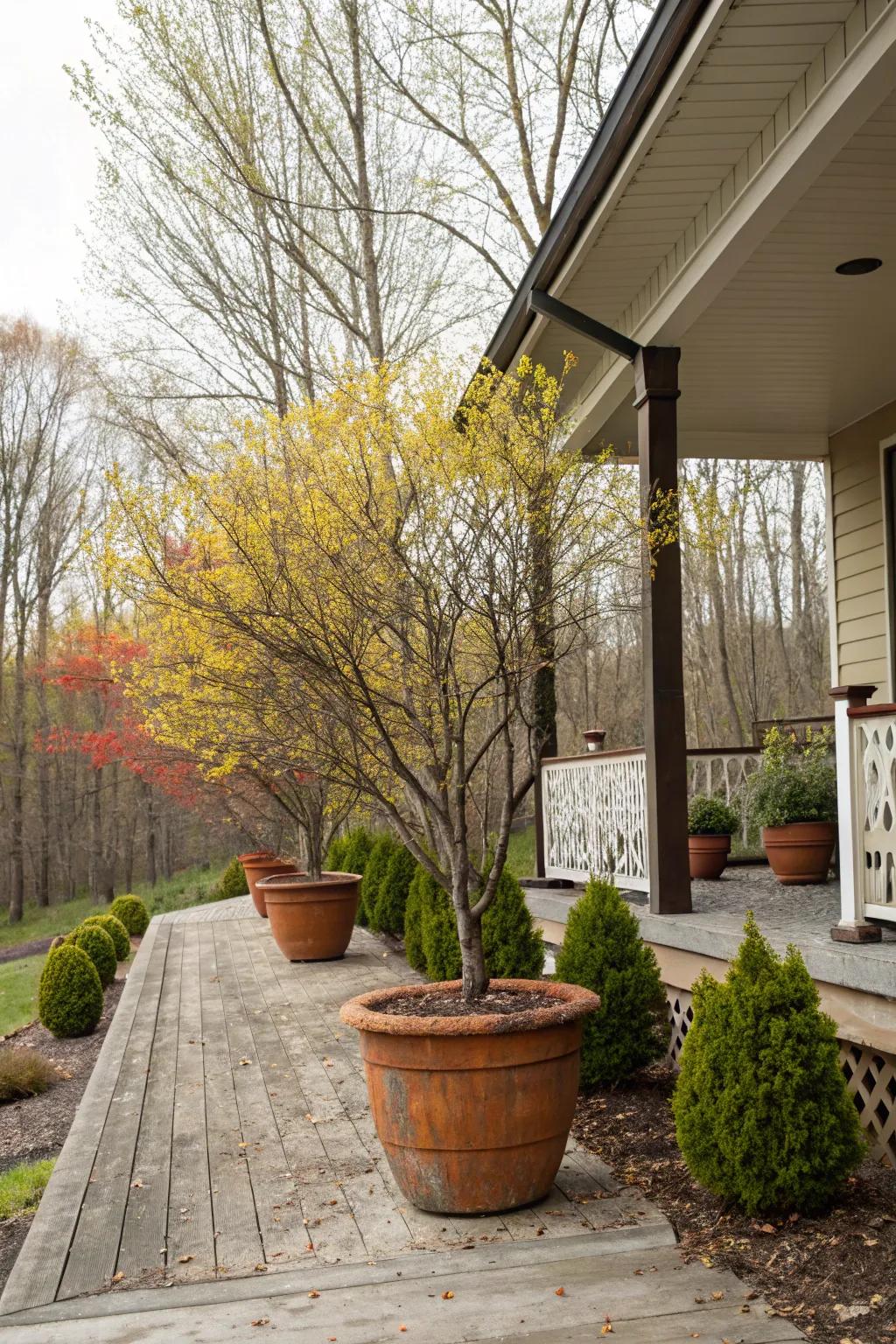 Seasonal tree swaps keep the porch decor lively.