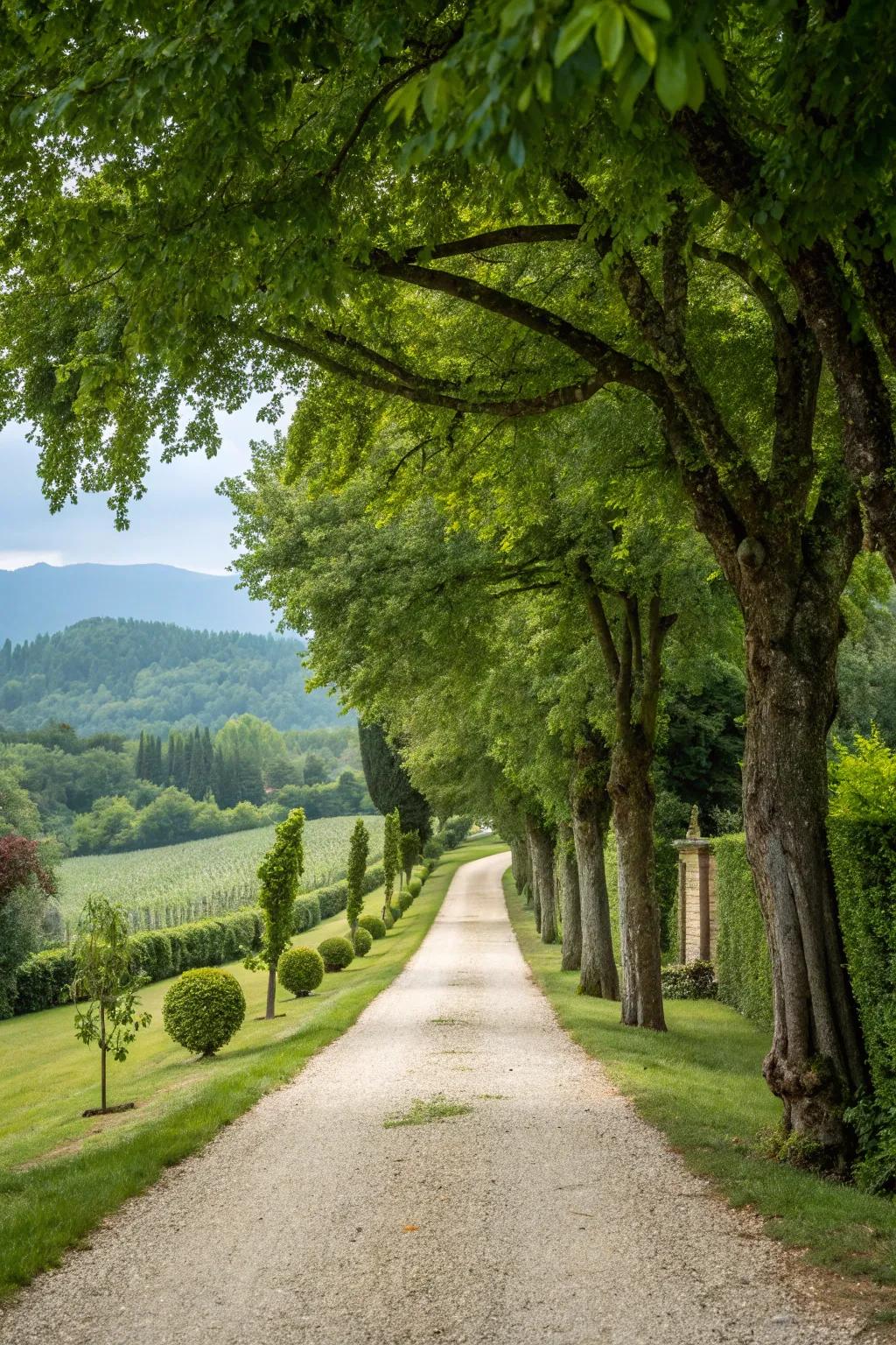 A picturesque winding gravel driveway through a garden.