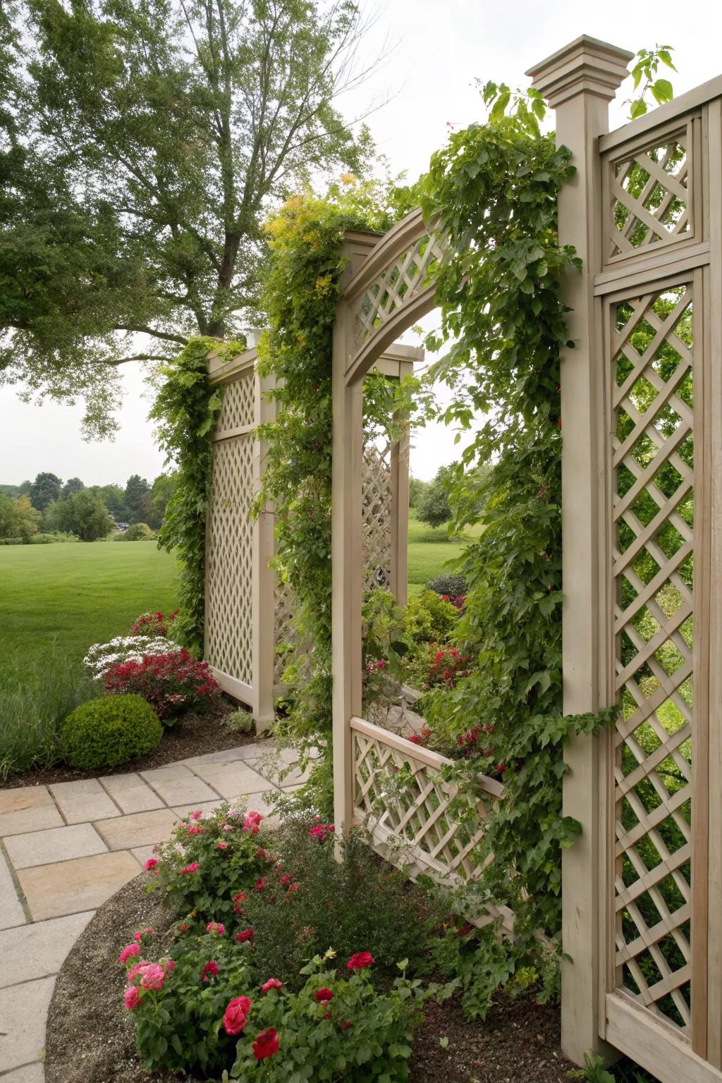 A decorative privacy screen adding both functionality and beauty to the garden.