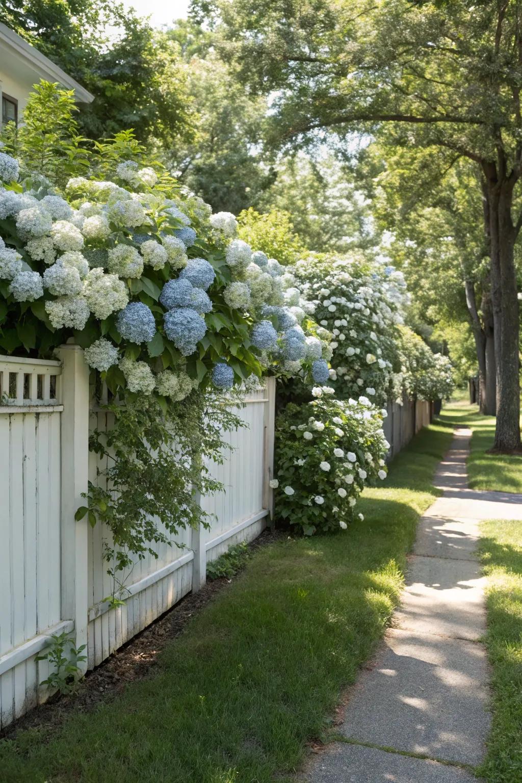 Shade-tolerant vines add vertical interest and elegance.
