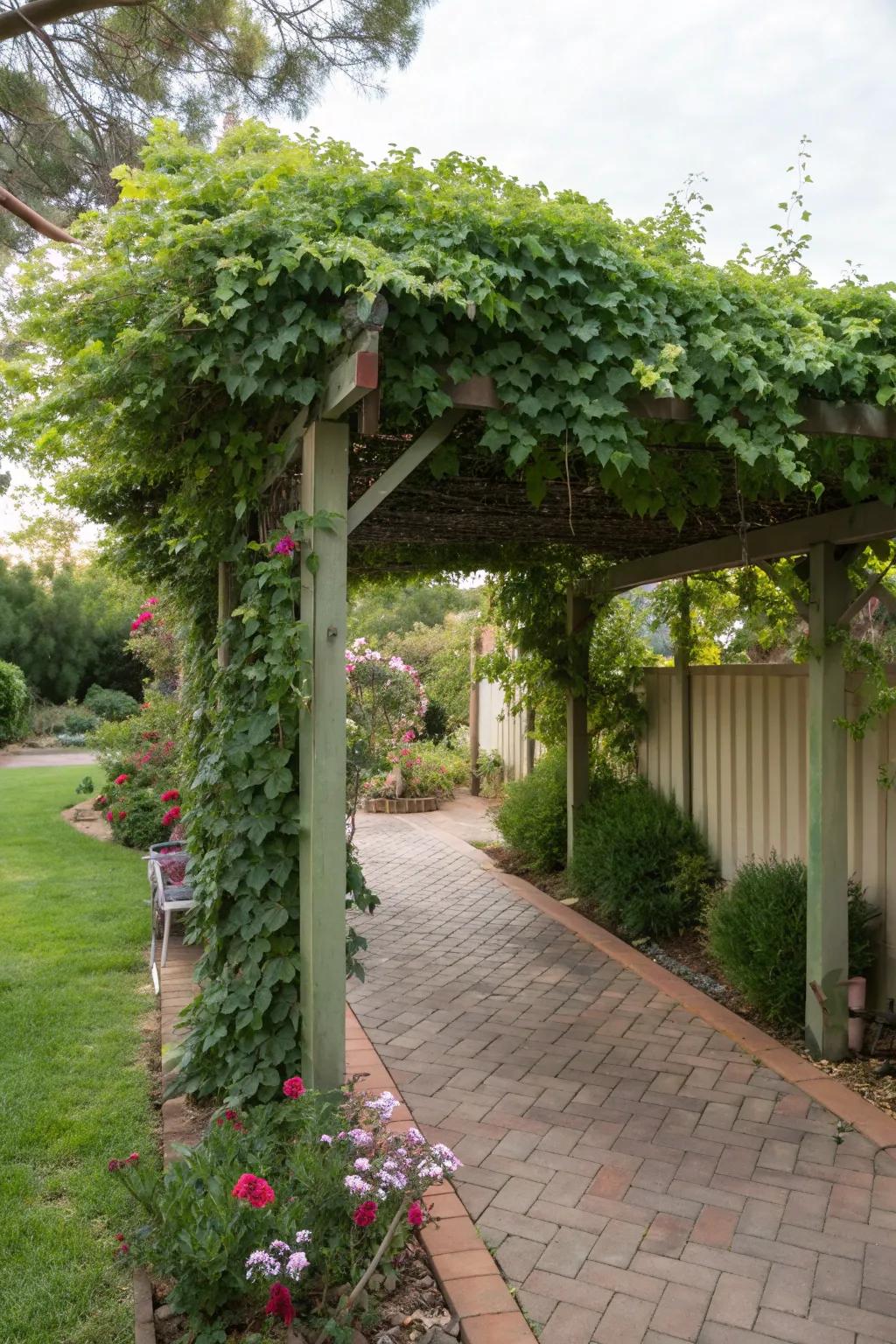 Relax in the shade of a beautiful pergola.