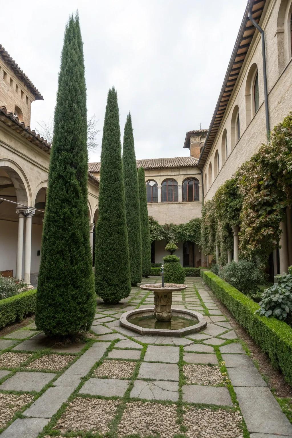 Create a courtyard retreat with the lushness of Sky Pencil Holly.