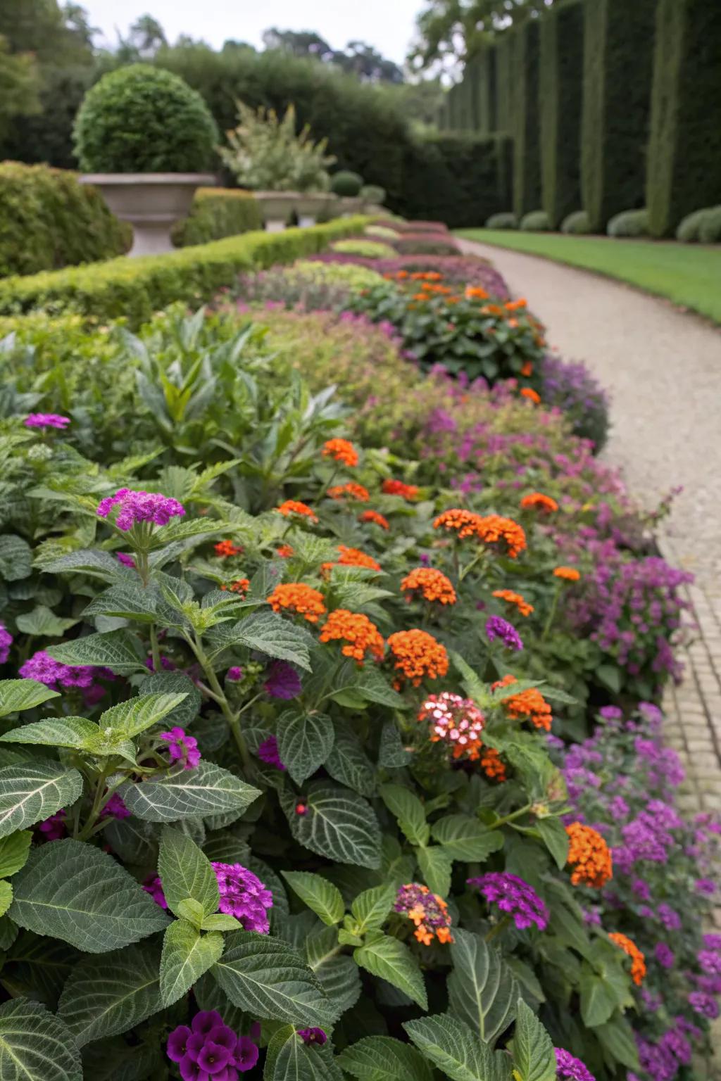 Lantana paired with contrasting plants adds garden intrigue.