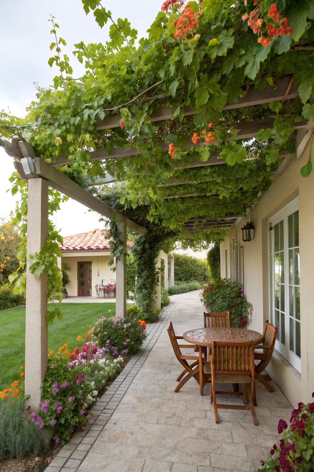 A vine-covered pergola adds romance and shade to your patio.