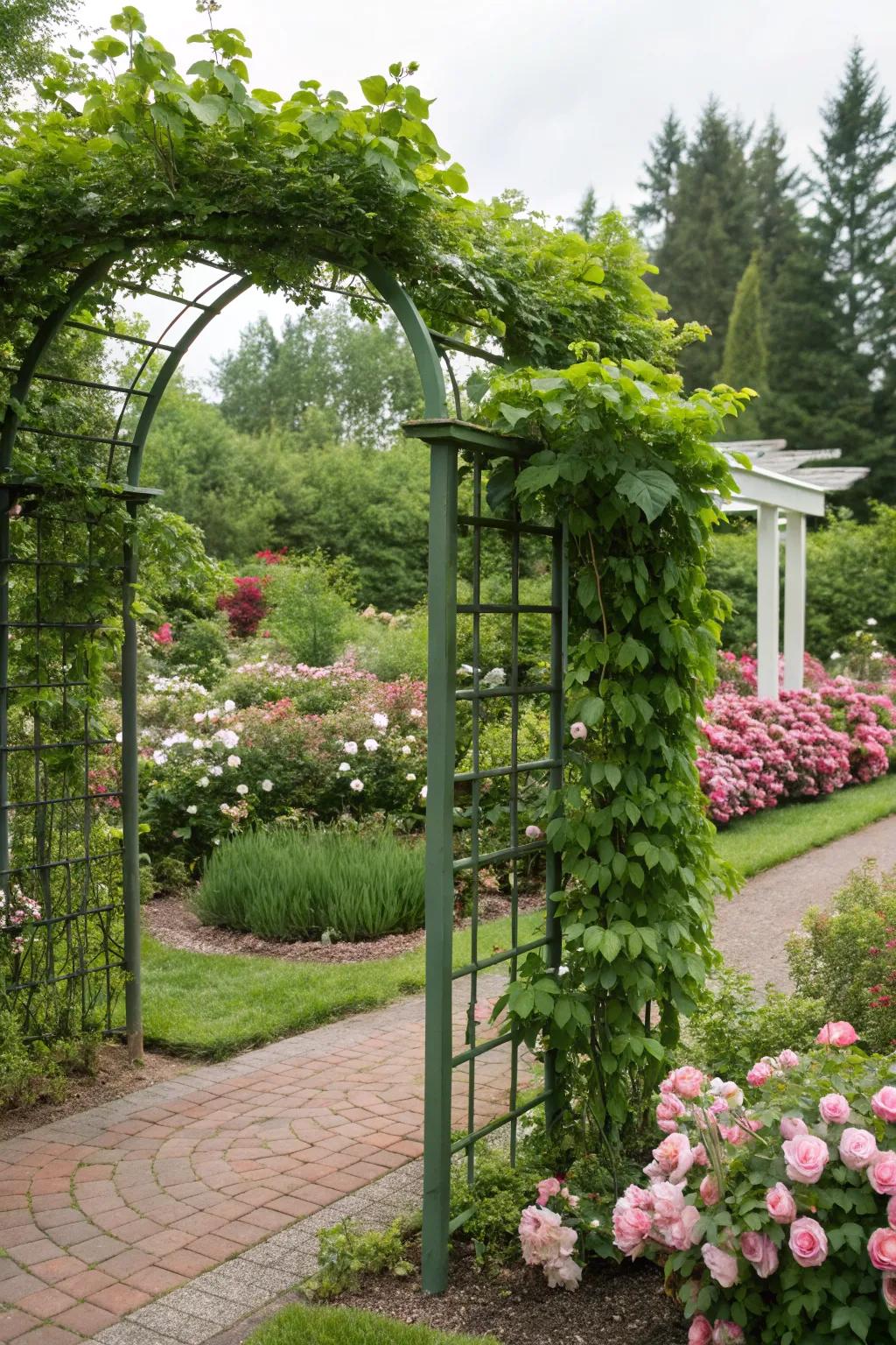 Let nature shine with a trellis that frames growth beautifully.