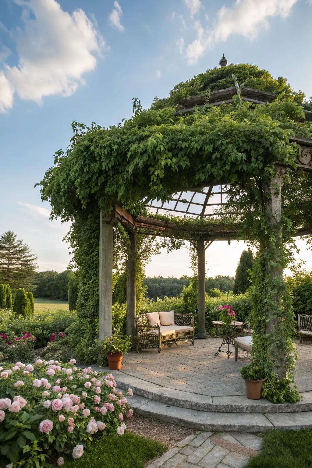 A pergola offers structure and a perfect spot for climbing plants.