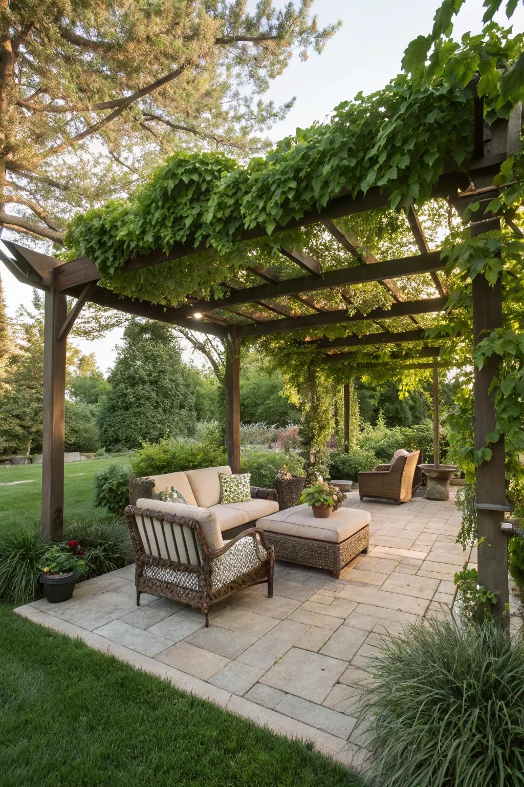 A pergola offers shade and charm to your outdoor area.