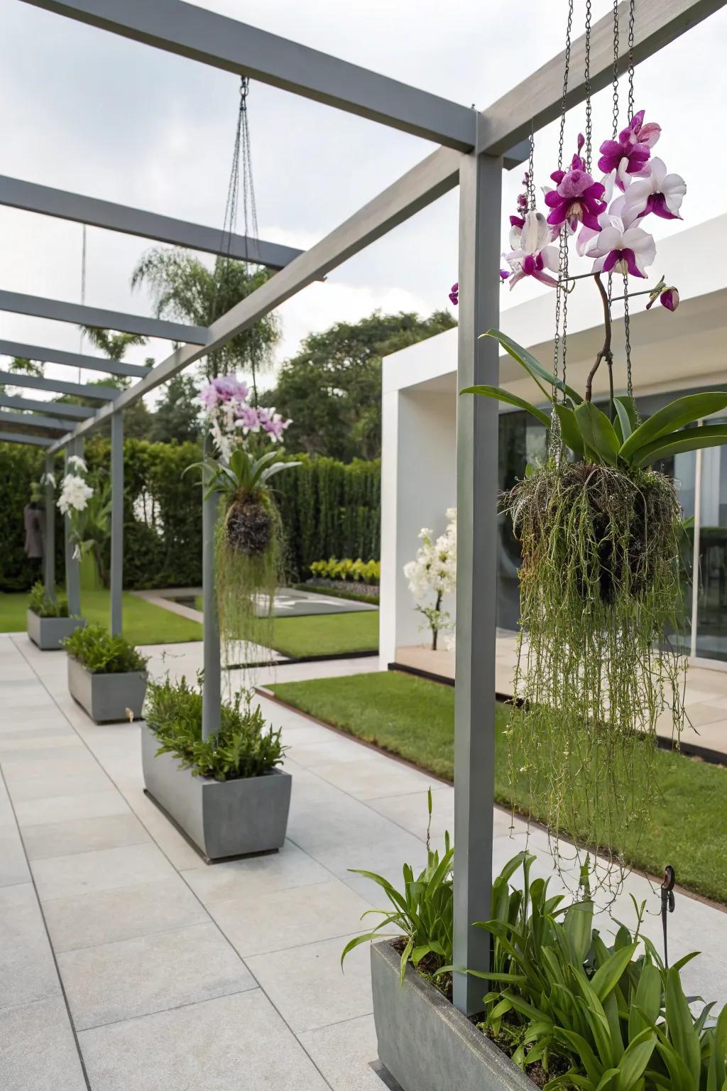 A modern hanging system for a dynamic orchid display.