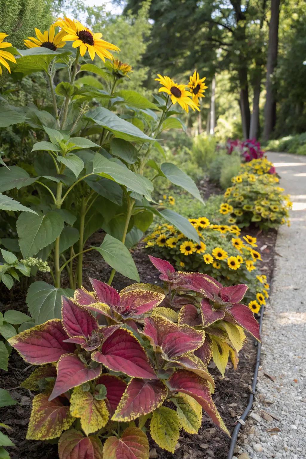 Bold foliage brings year-round color and contrast.