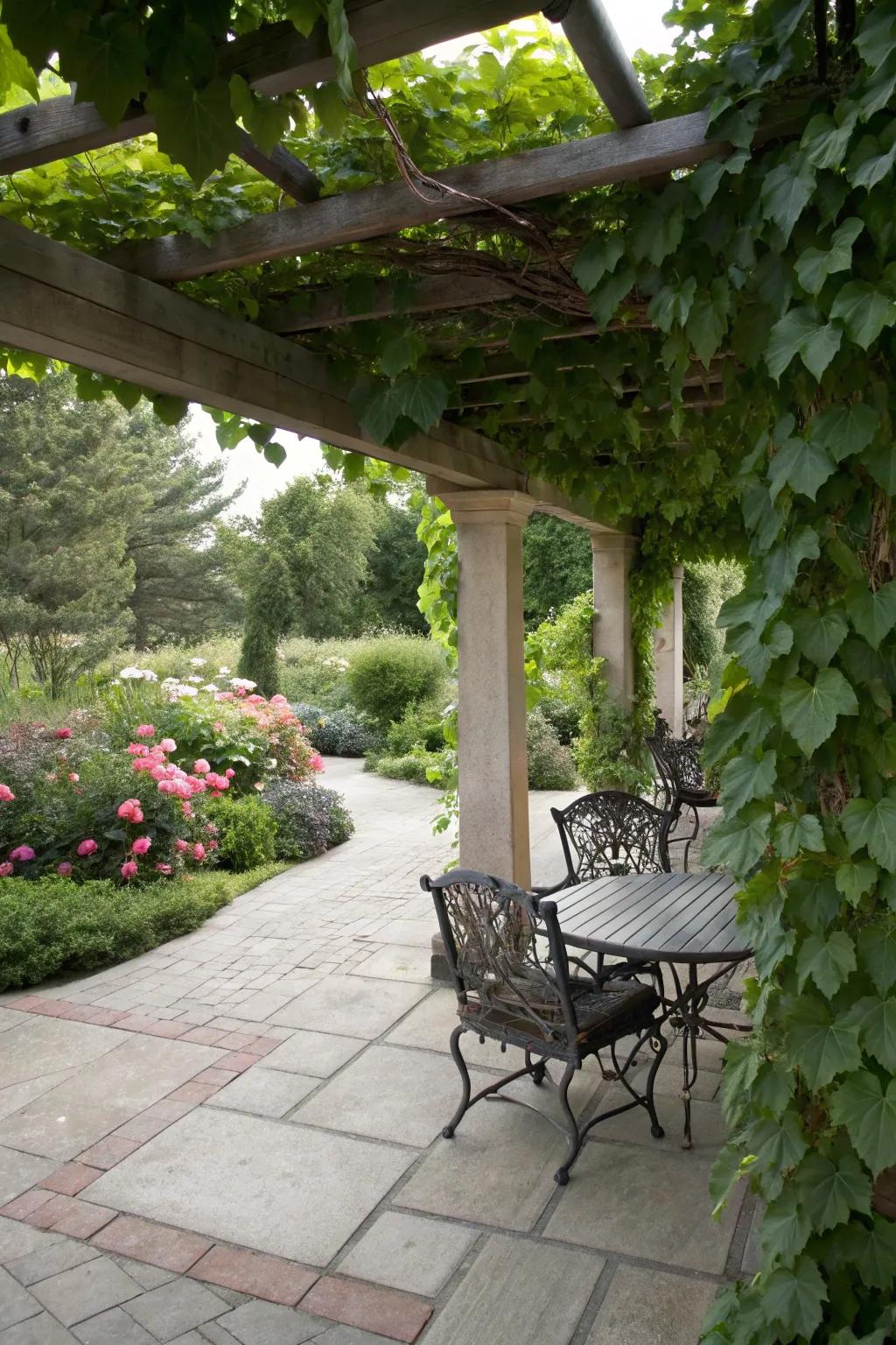 Trellises offer shade and a canvas for climbing plants.