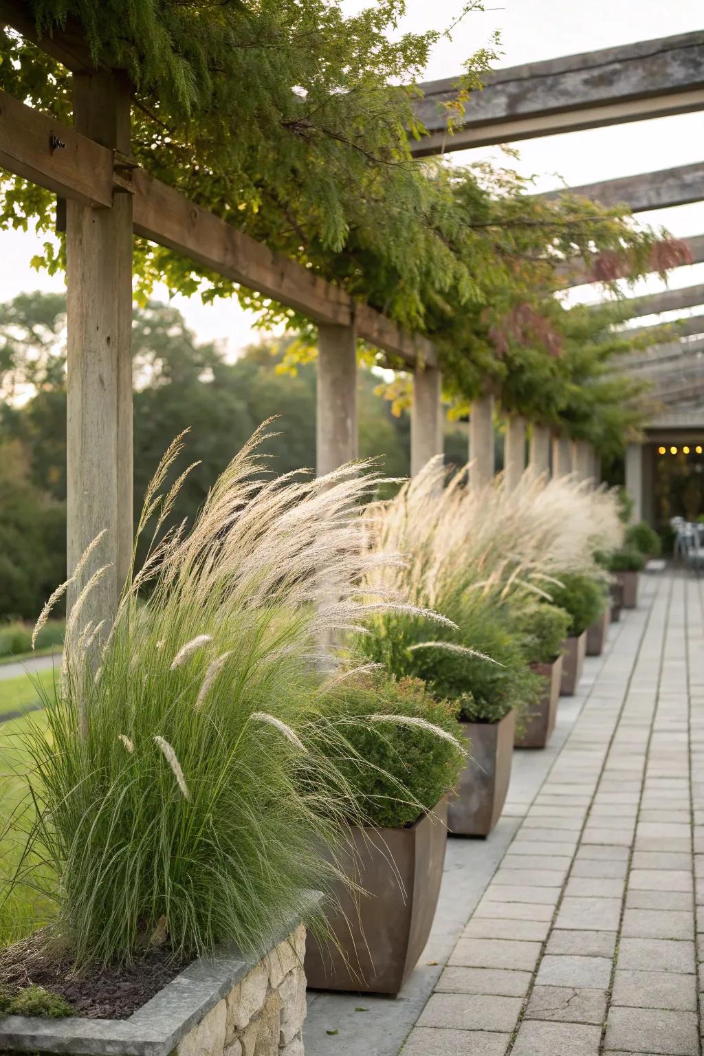 Add movement to your pergola with ornamental grasses.