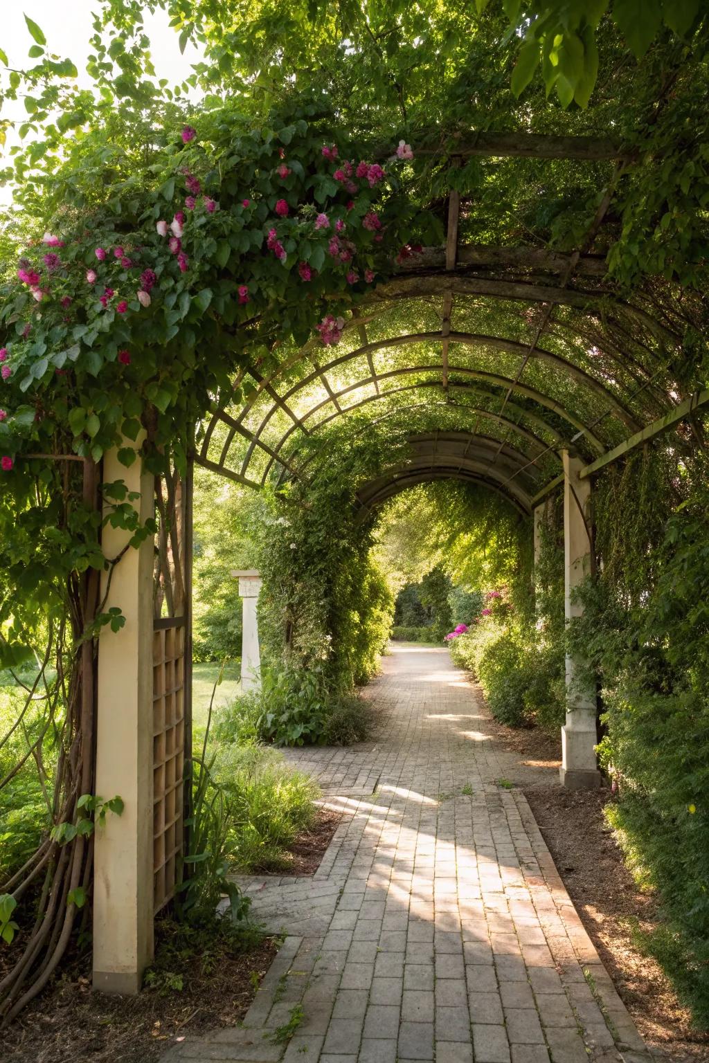 Vine-covered arbors offer charming and private garden entryways.