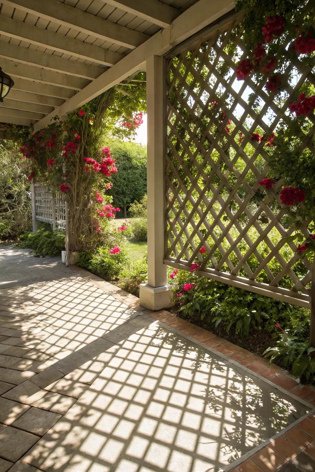 Decorative screens offer privacy with an artistic flair.