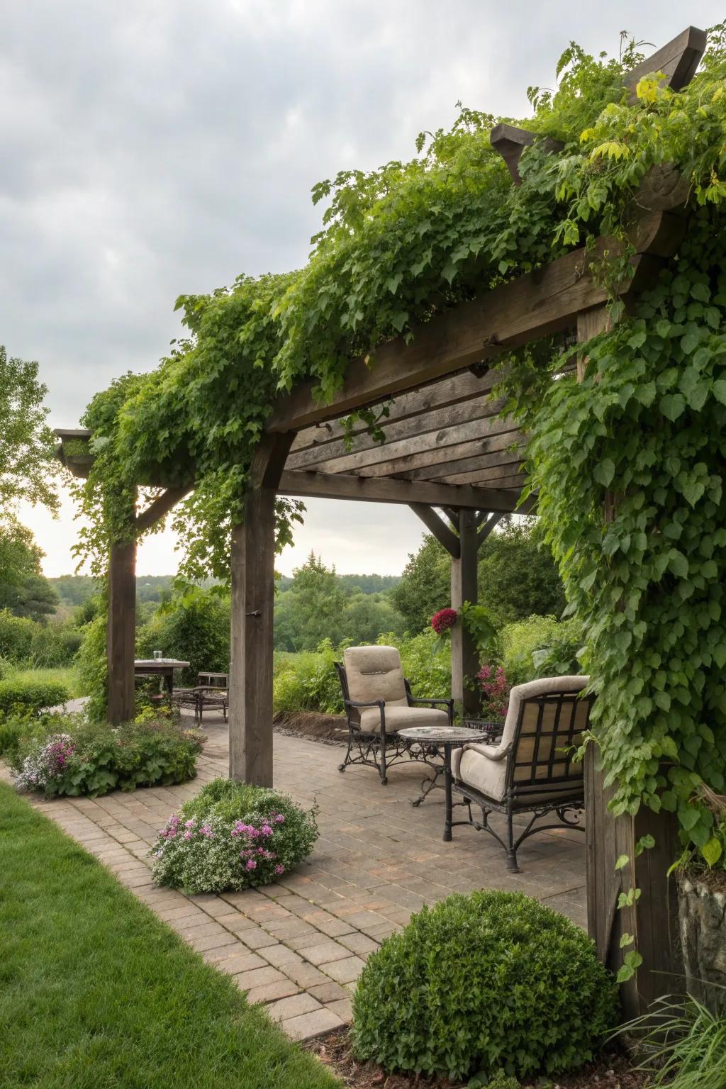 A stunning pergola crafted from railroad ties.