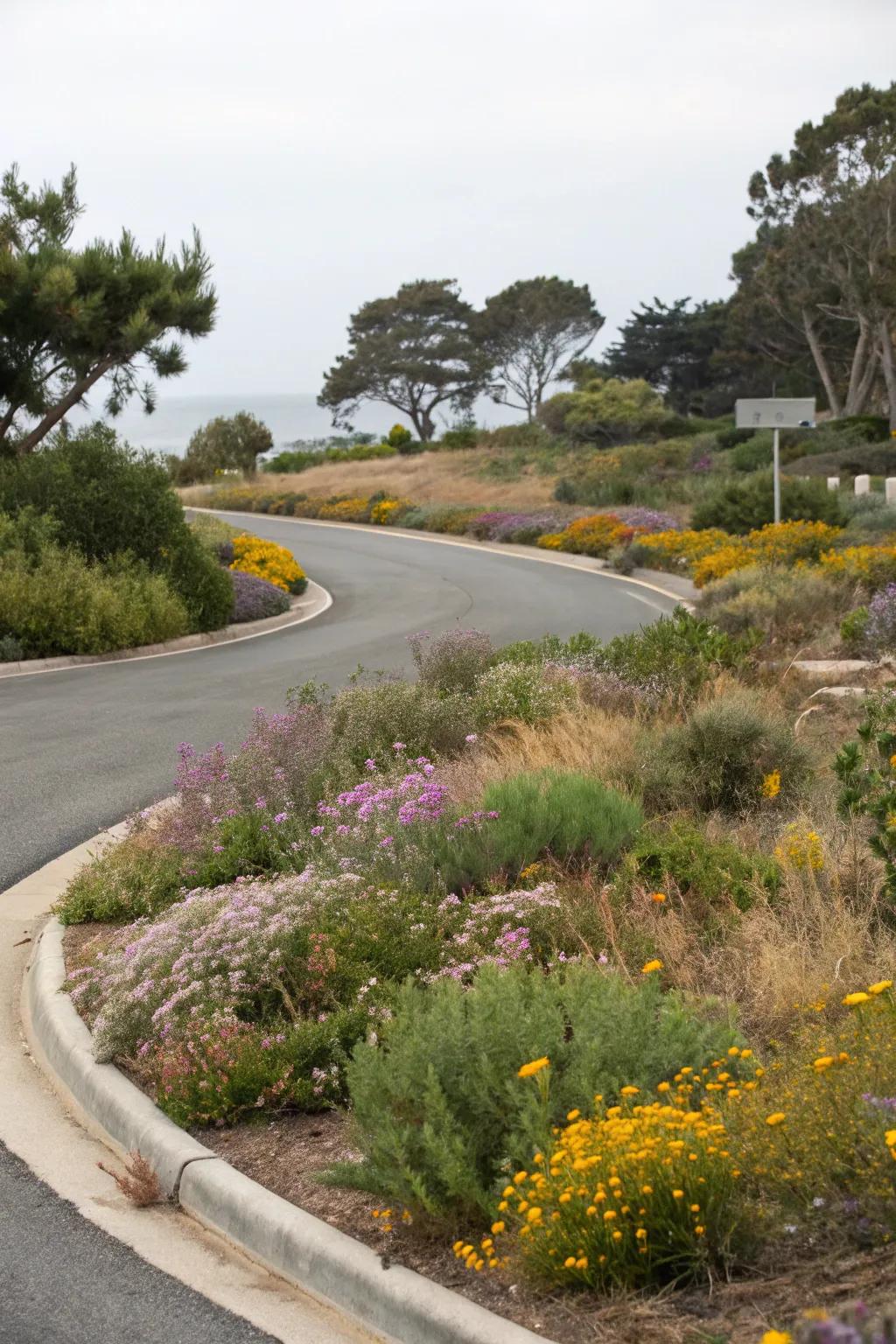 Go green with a sustainable native plant landscape.