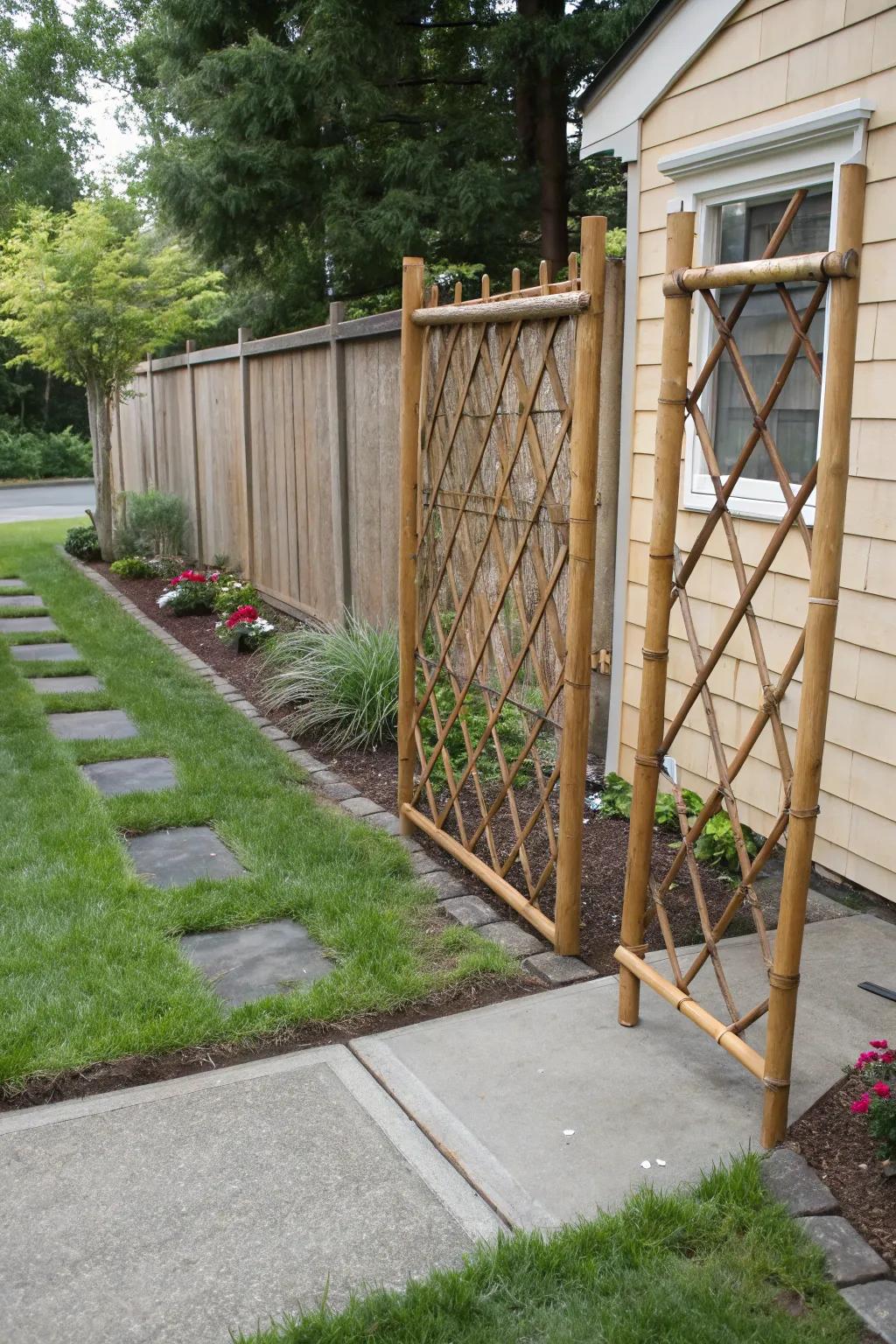 Bamboo screen offering an exotic and sustainable property line solution.