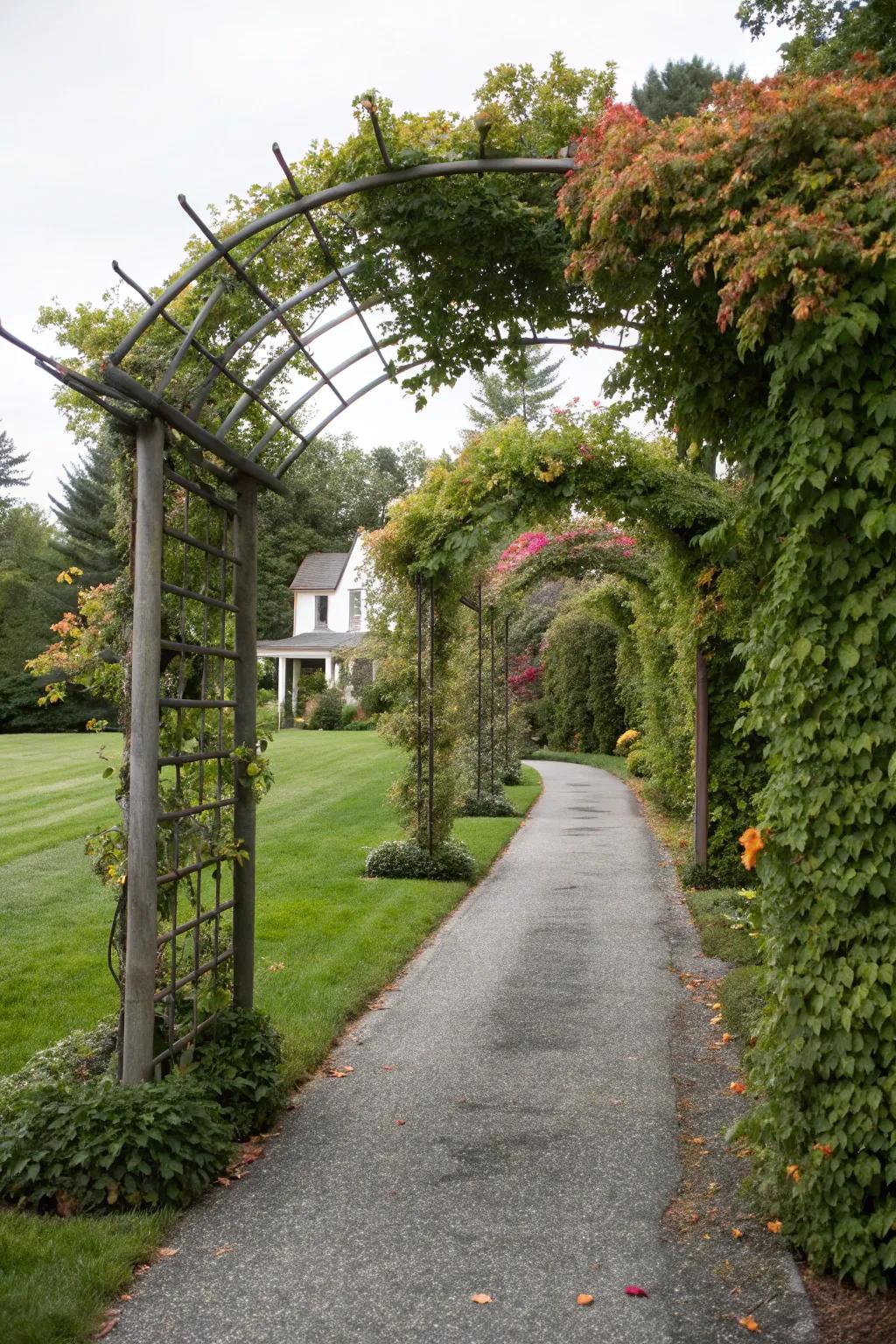 Vertical trellises introduce privacy and a lush aesthetic.