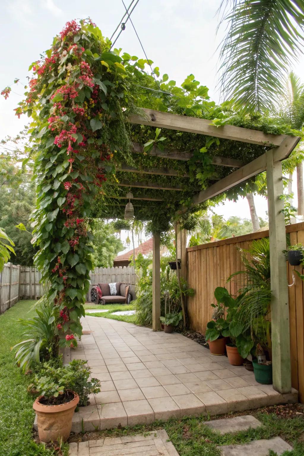 A pergola provides shade and a stunning focal point.