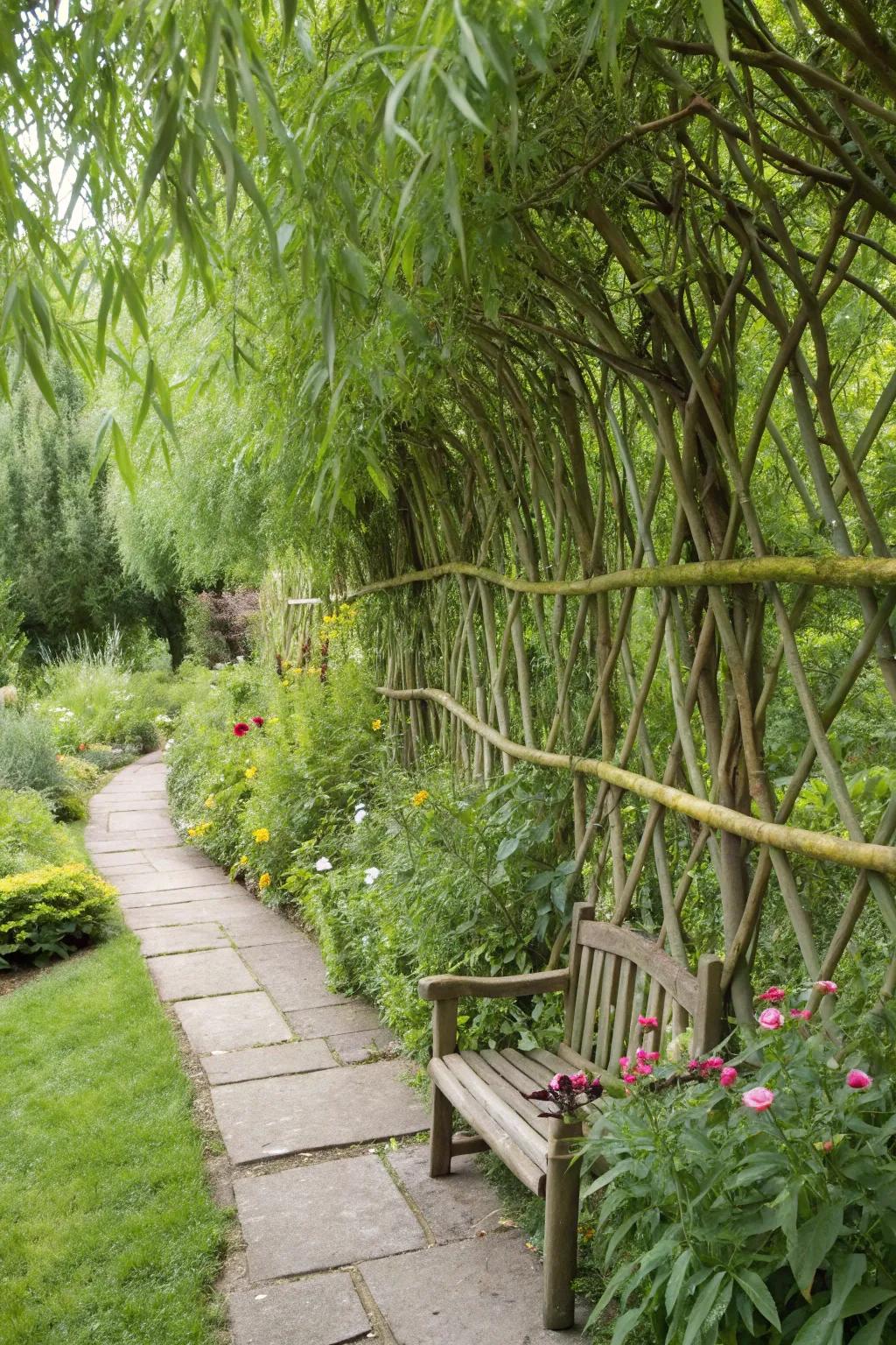 Living willow fences offer a dynamic, organic wall solution.