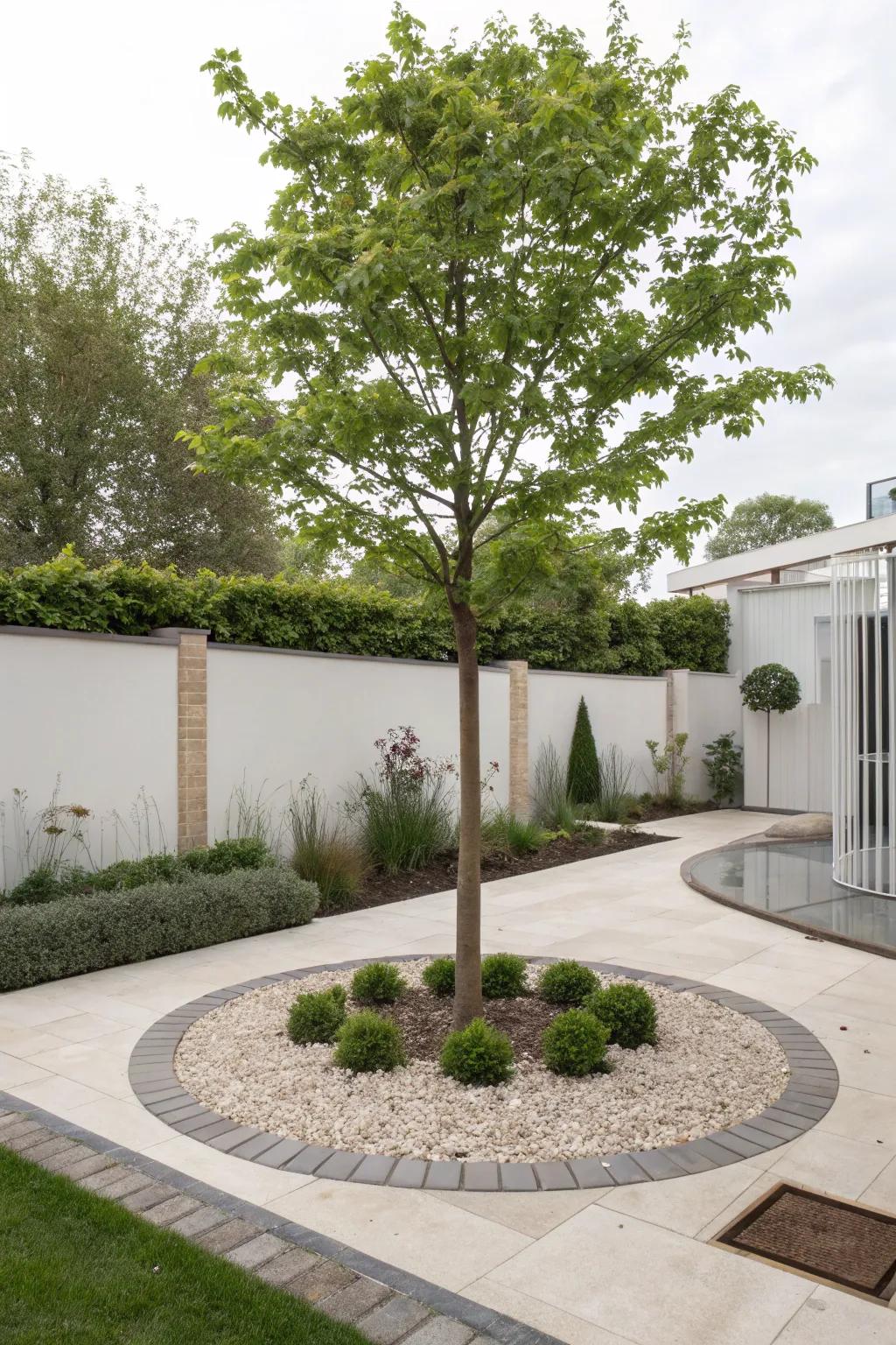 A tree surrounded by a sleek gravel circle.