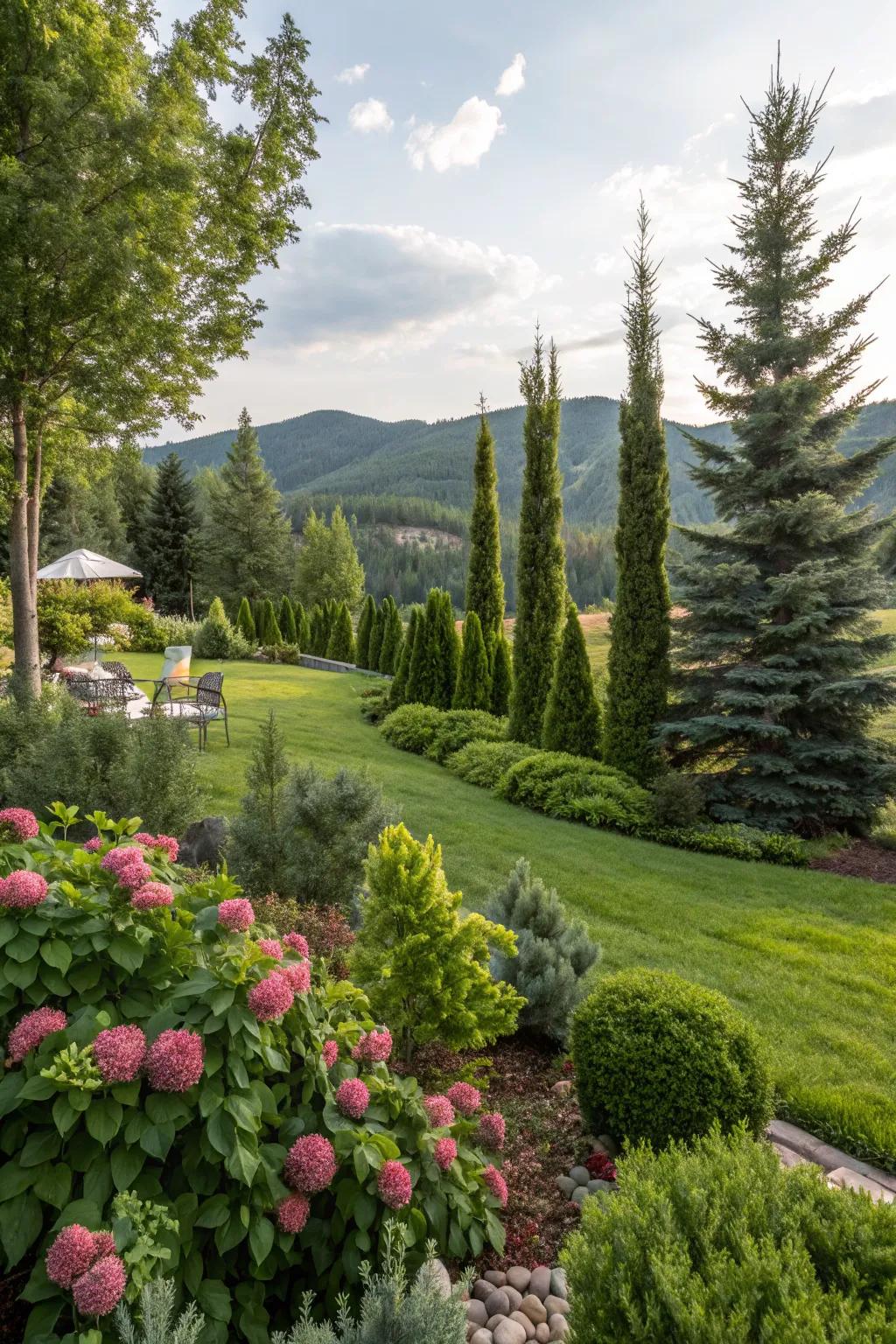 Evergreens offering year-round beauty in a Utah backyard.