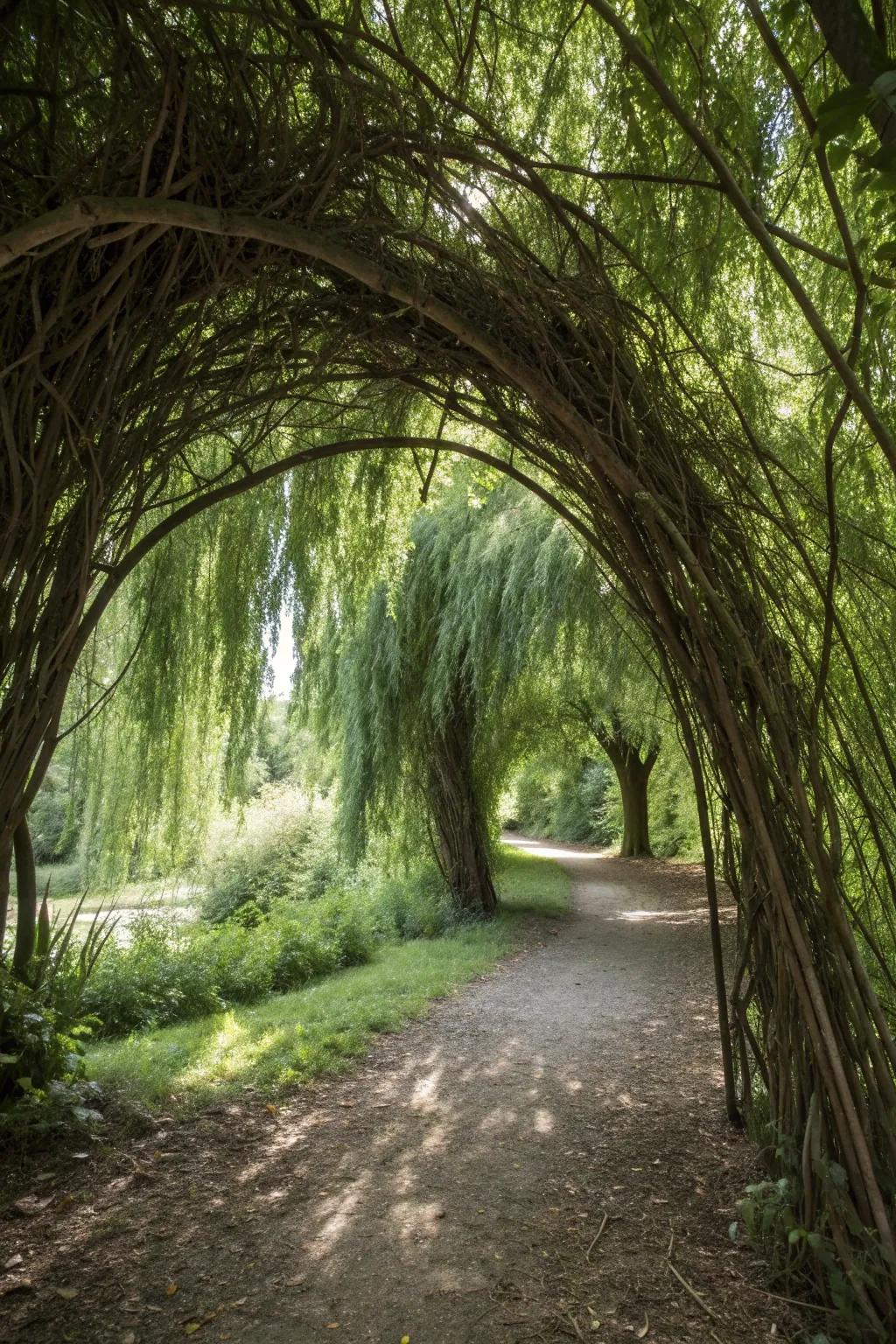 A willow bower offers a secret retreat in your garden.