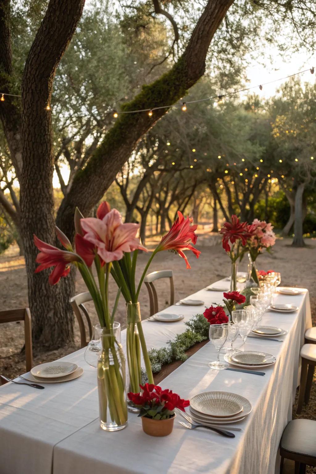 Amaryllis centerpieces elevate outdoor dining experiences.