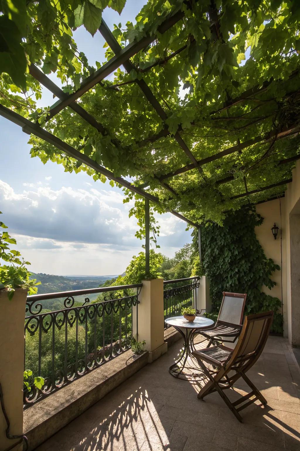 A trellis with vines offers a living, adaptable shade solution.