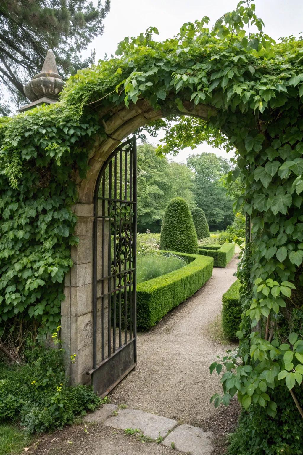 A hidden arched gate enveloped in ivy for a secret garden feel.