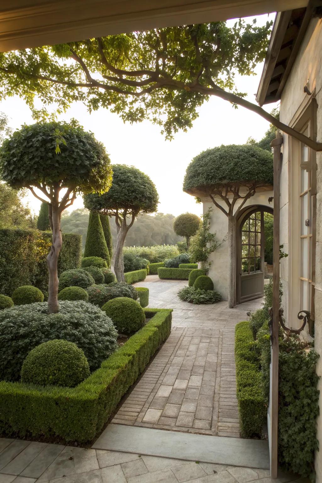 A serene courtyard-style entrance with low hedges and sculpted trees.