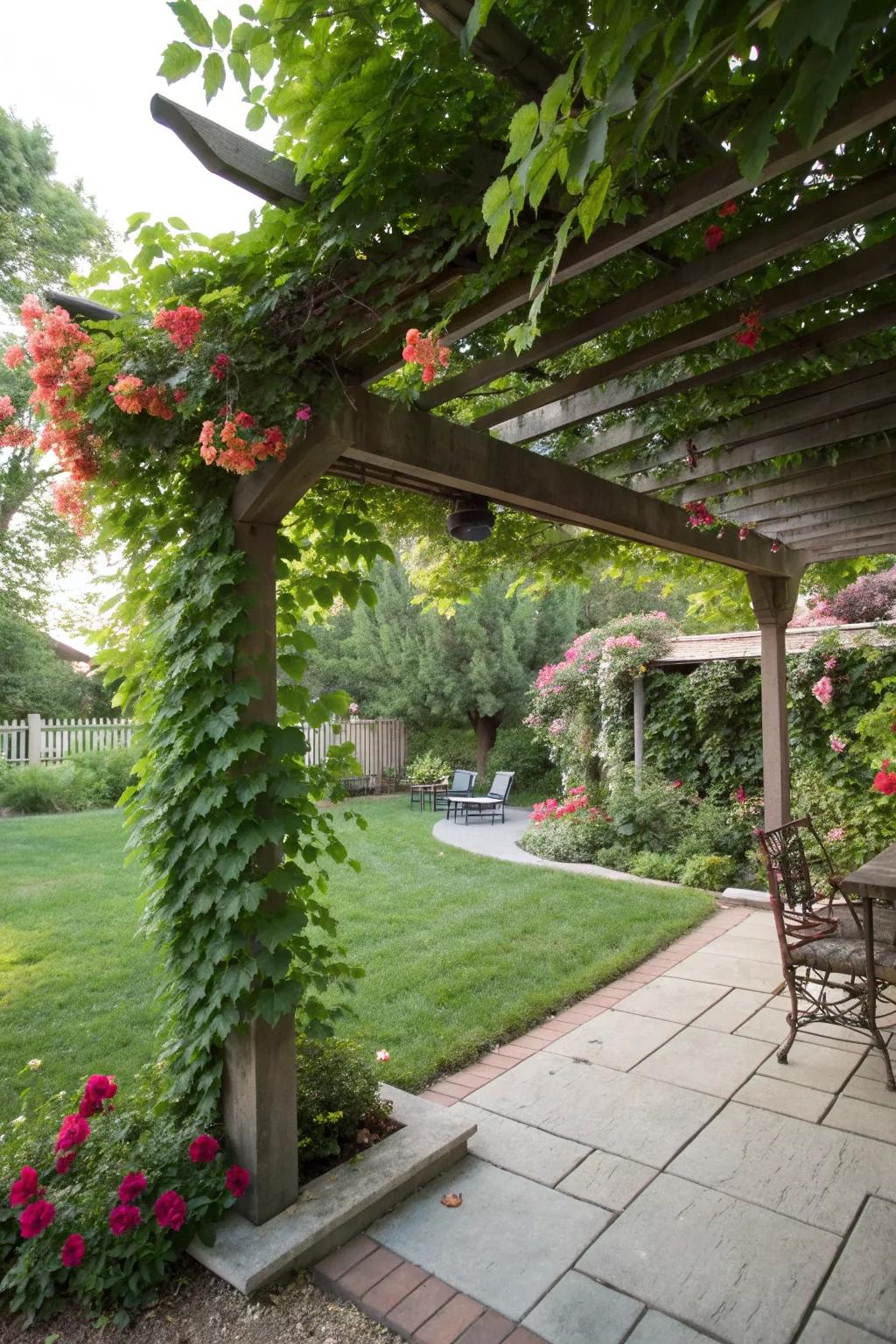 A pergola provides shade and a natural canopy for your space.