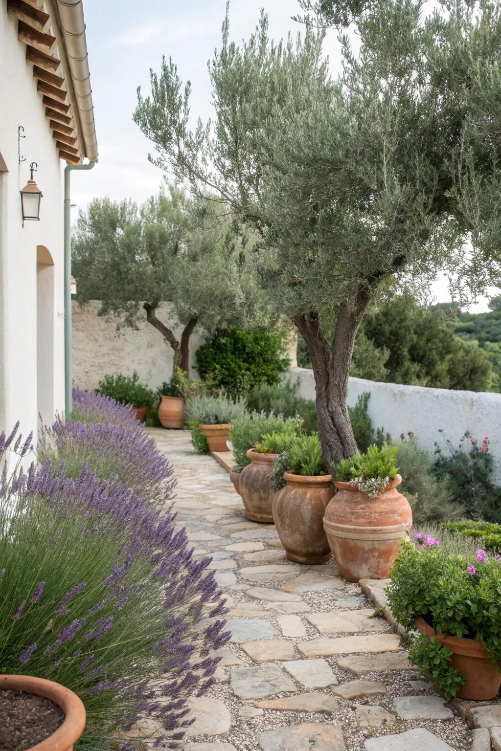 Mediterranean vibes bring warmth to this corner garden.